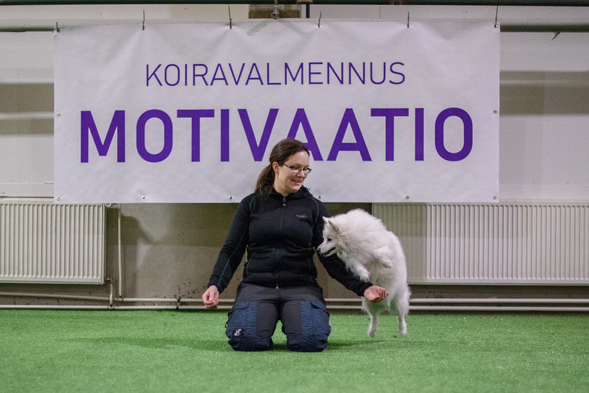 Koiratanssi